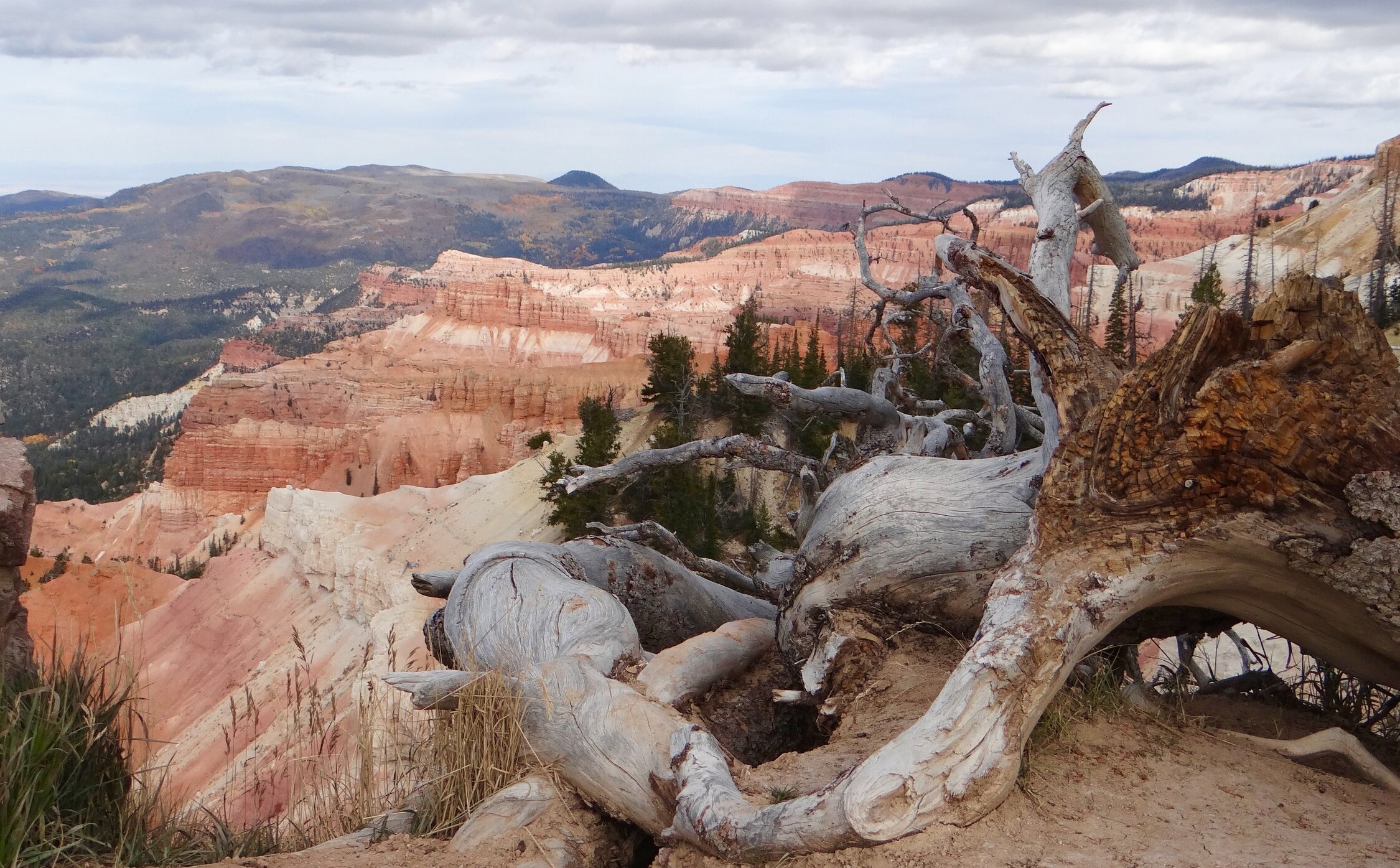 scenic look out of red rock