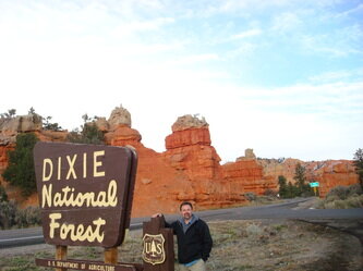 national forest sign